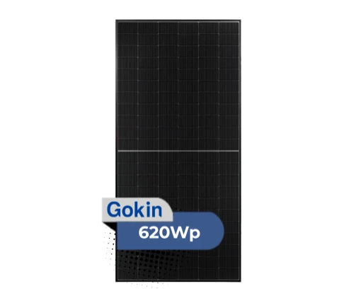 Módulo Gokin Bifacial 620Wp