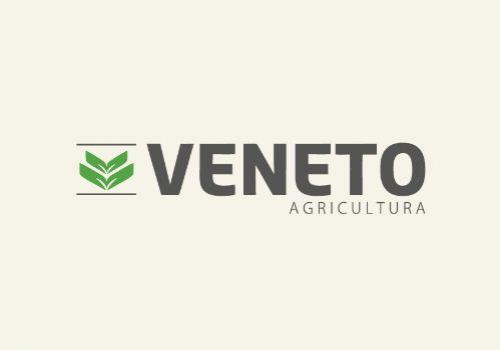 Veneto