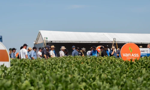 Avanseed destaca inovação em genética de soja para safra 26/27