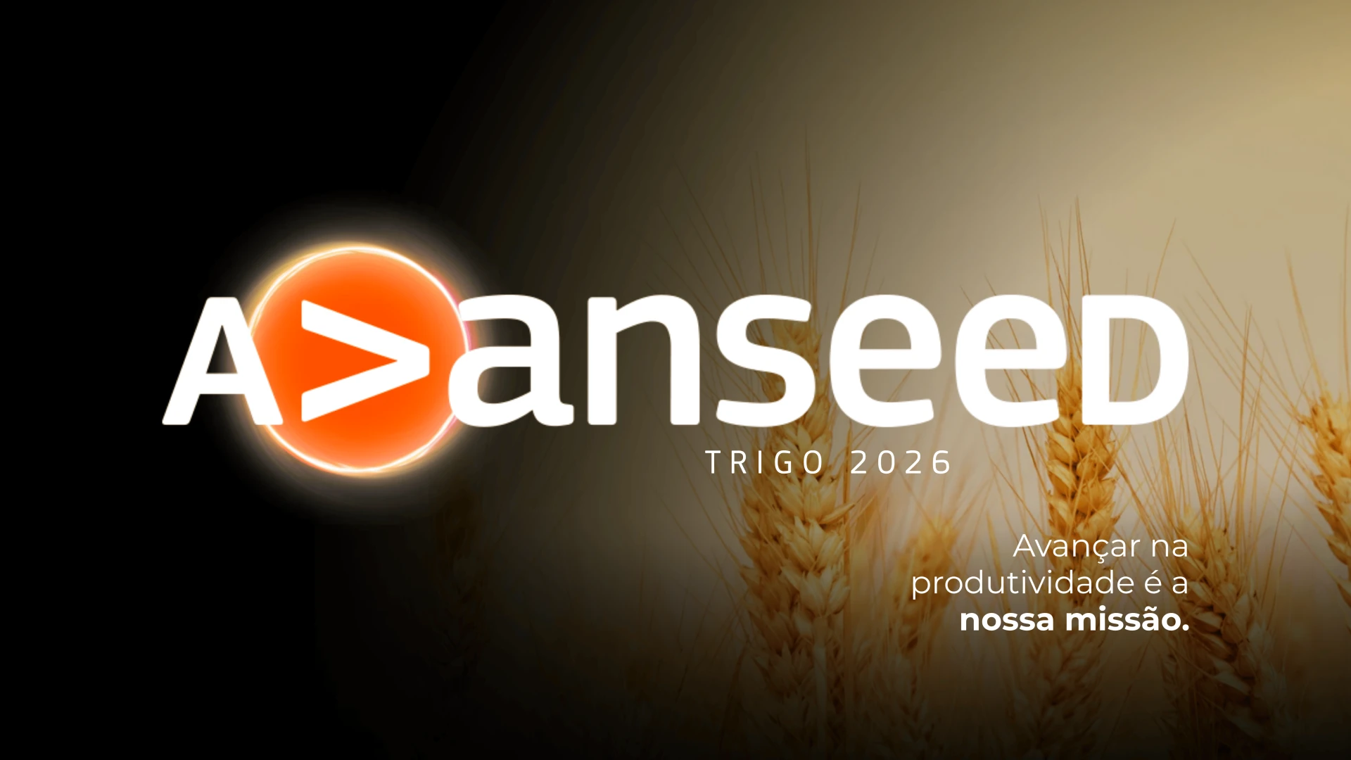 Avanseed Trigo 2026