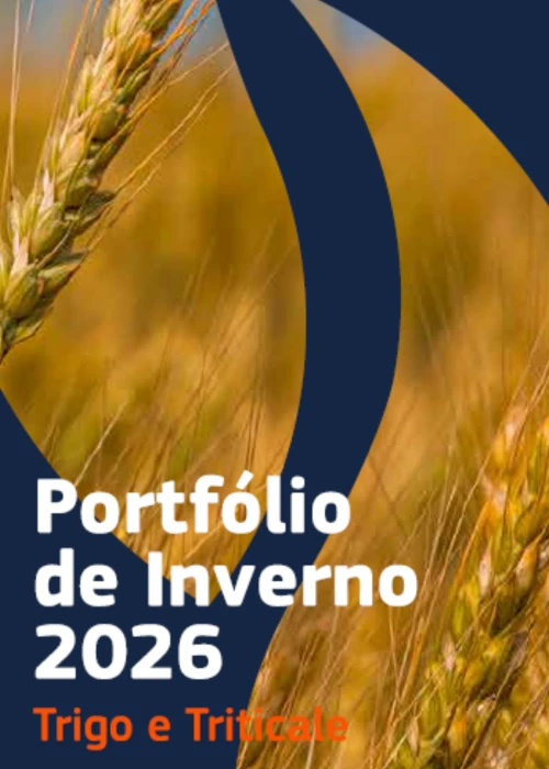 Portfólio de Inverno Trigo e Triticale 2026