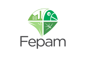 FEPAM