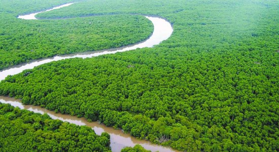 Investimento Bilionário no Fundo Clima