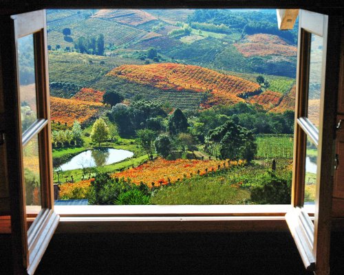 Vale dos Vinhedos