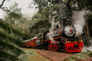 Giordani Turismo