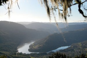 Vale do Rio das Antas