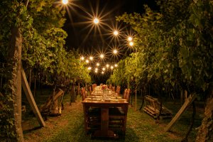 Associação dos Produtores de Vinhos Finos do Vale dos Vinhedos