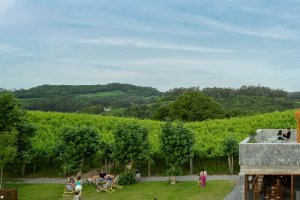 Associação dos Produtores de Vinhos Finos do Vale dos Vinhedos