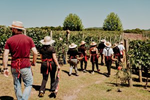 Associação dos Produtores de Vinhos Finos do Vale dos Vinhedos