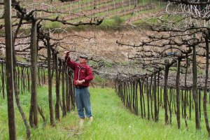 Associação dos Produtores de Vinhos Finos do Vale dos Vinhedos