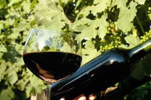 Associação dos Produtores de Vinhos Finos do Vale dos Vinhedos