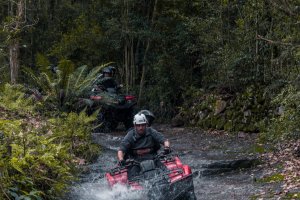 Gasper Parque de Aventuras