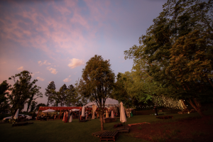 Nature Vinho & Gastronomia