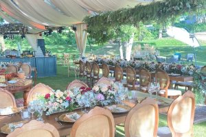 Nature Vinho & Gastronomia