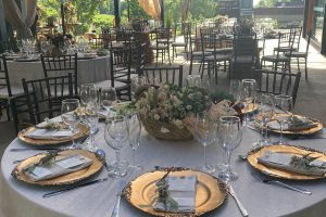 Nature Vinho & Gastronomia