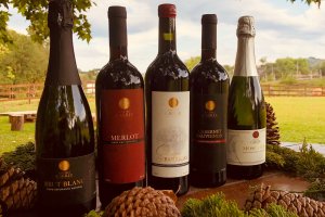 André Carrer Vinhos & Vinhedos