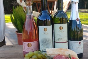 André Carrer Vinhos & Vinhedos