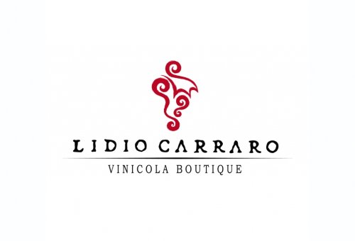 Boutique Lidio Carraro Ltda