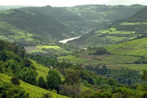 Cristófoli Vinhedos e Vinhos Finos