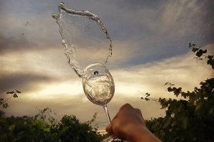 Cristófoli Vinhedos e Vinhos Finos