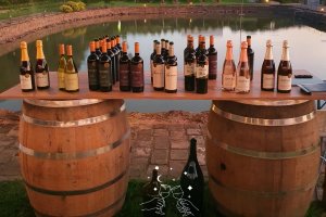Lovara Vinhas & Vinhos