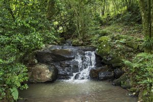 Recanto Bergamasco