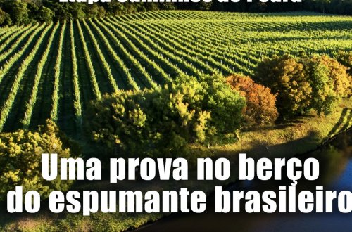 WINE RUN CAMINHOS DE PEDRA