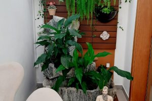 AMBIENTAL ECO PRESERVAÇÃO