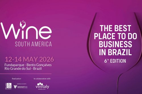Wine South America