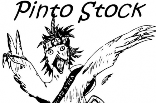 Pinto Stock