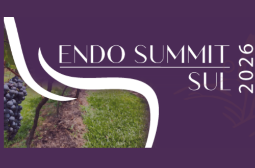 Endo Summit Sul