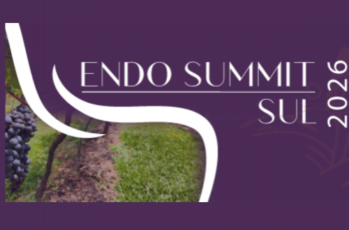 Endo Summit Sul