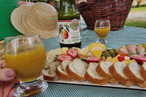 Organovita