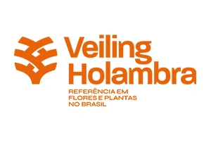 Veiling Holambra