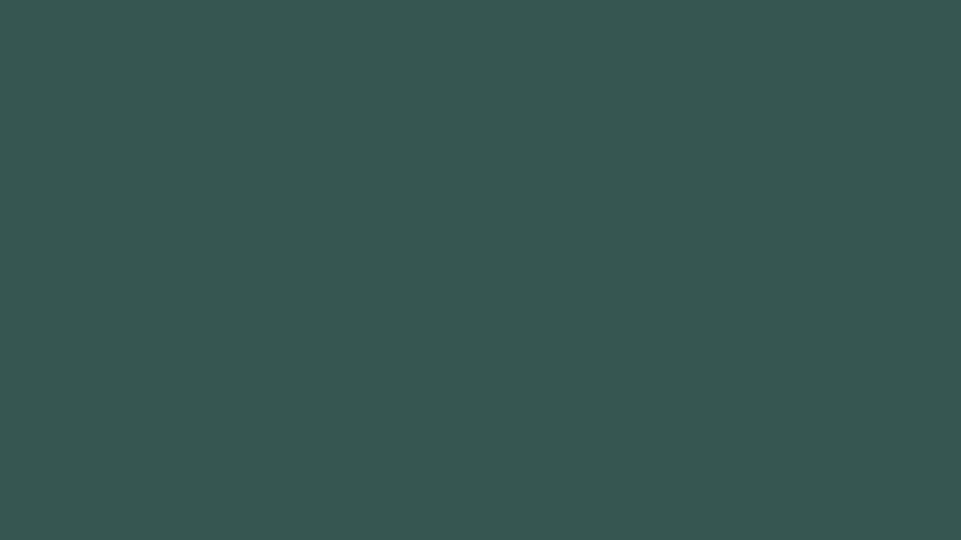 Vetor | Identidade Visual | Zanon Brand Studio
