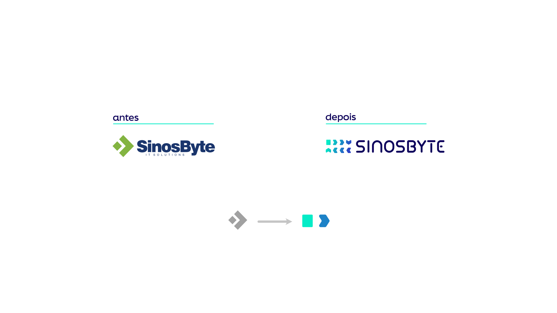 Sinosbyte